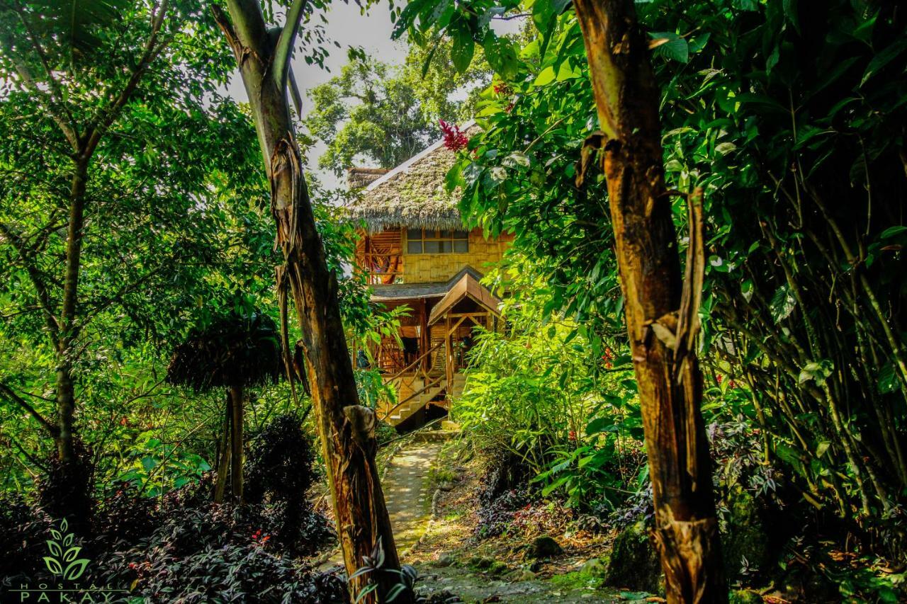 Hostal Pakay Tena Exterior photo
